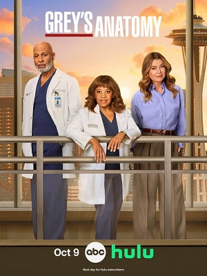 Анатомия страсти Grey s Anatomy - 22 Сезон 16 серия